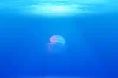 골프와 인생의 공통점을 알아보자