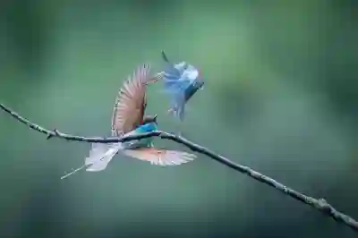 황유민의 브랜드 앰버서더로서의 성공 비결 알아보기