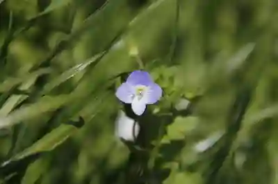 성적보다 성장에 집중하는 이유 살펴보기
