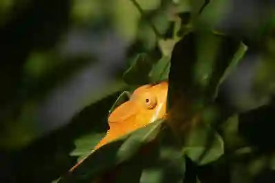 황유민프로 스폰서십 계약의 숨은 의미 살펴보기