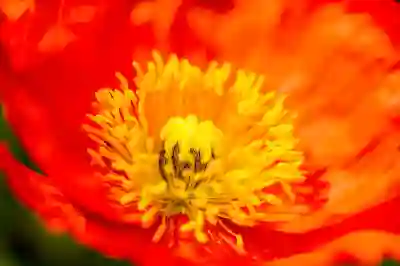 황유민의 데뷔전 준비 과정 살펴보기