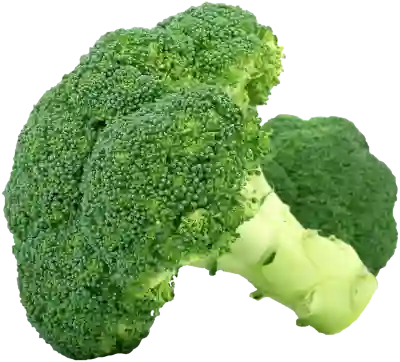 제네시스 GV70 하이브리드 출시일 '나오기만하면 당장 산다'