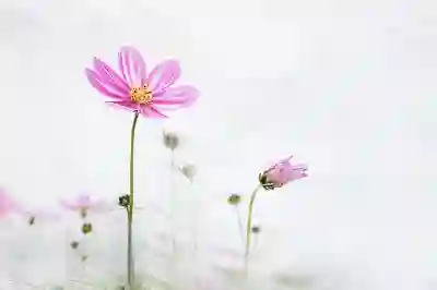 챗GPT 무료 유료 차이 ChatGPT 4o 사용법 가격 할인