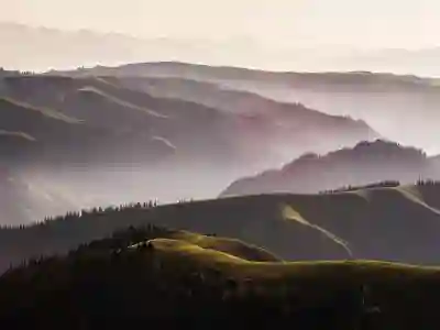 시뮬레이션 뜻 SIMULATION 역할 특징