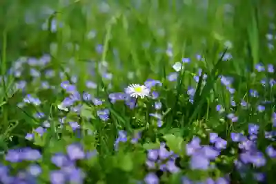 테슬라 배터리 제조사 공개 안하는 이유