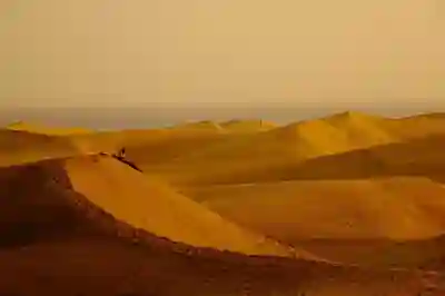 아이폰16 PRO 데저트 티타늄 내추럴 티타늄 실물 색상 비교