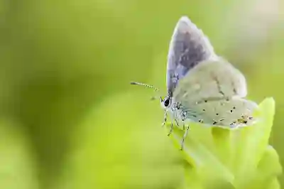 캐논 EOS M3 M5 M10 M50 미러리스 카메라 비교해봄