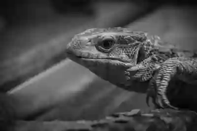 32인치 모니터 추천 LG MyView 32SR50F 스마트모니터