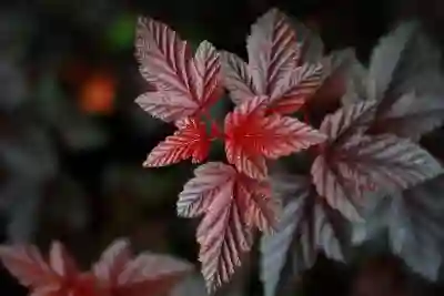 JBLFLIP4, jblflip5, JBL펄스4, jblcharge5 방수스피커 비교해봐요