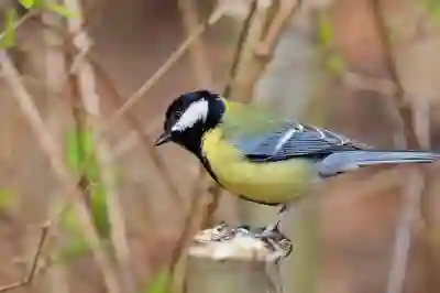 세탁어플 그린토피아 찐후기 남겨봄