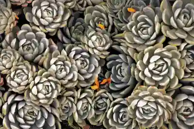 어메이즈핏 Amazfit GTS 4 mini 가성비 샤오미 스마트워치 살펴봄