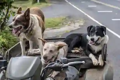 전기차 배터리 화재 원인 예방방법 알아두세요