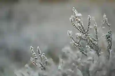 차량용 냉장고 소형 캠핑냉장고 스미스앤스미시 아이스투고 추천