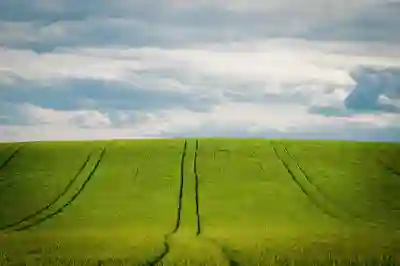 황유민 프로의 경기장에서 보여준 리더십 순간