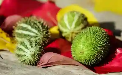 1인 소형 미니 냉장고 250리터 선택 시 고려해야 할 4가지 요소