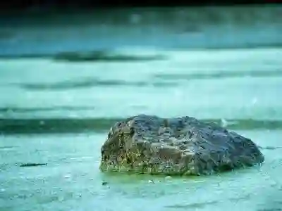 맥 미니 M2 스펙 구매 전 알아보자