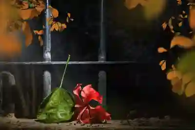 버즈철가루의 원인과 해결법 알아보자