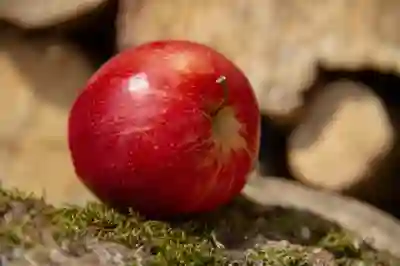 애플워치4 나이키 모델의 특징과 장점 알아보자