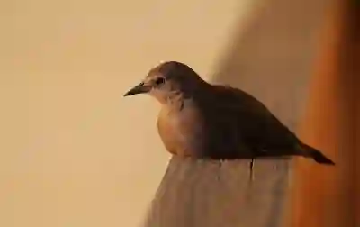 카카오톡 멀티프로필 확인하는 꿀팁 알아보자