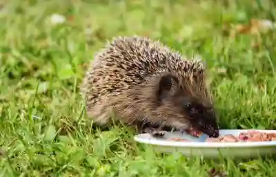 캐논 레이요 멀티빔으로 가성비 좋은 영화 감상하는 방법 알아보자