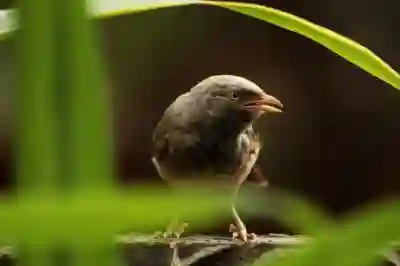 탁상달력 제작으로 기업 홍보 효과 높이는 4가지 전략 알아보자