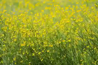 고속버스 예매 앱 설치와 모바일 예매 꿀팁 알아보자