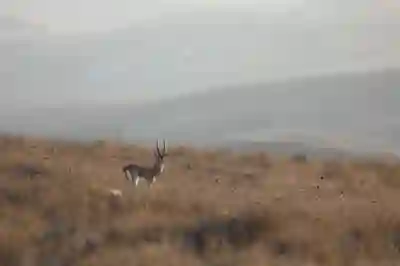 정부 양곡 할인 혜택 신청 방법과 지원 대상 알아보자