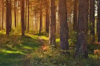 코레일 경로우대 할인 혜택 알아보자