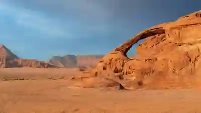 구인구직코리아 활용법 알아보자