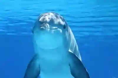 정전으로 인한 강남 지역 교통 혼잡 해소를 위한 3가지 방법