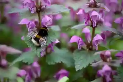 강원도 폐가전 무상수거 신청 방법과 서비스 총정리 알아보자