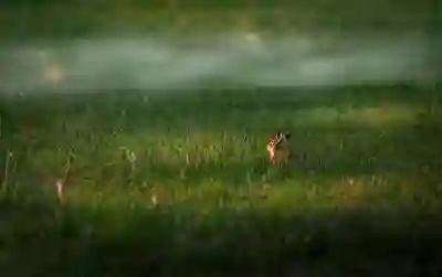 OECD의 국제 경쟁력 향상을 위한 역할과 중요성 알아보자
