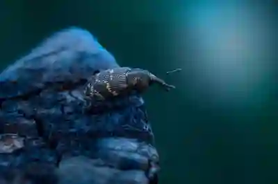 네이버플러스와 스포티파이 연동으로 무료 이용하는 방법 살펴보기