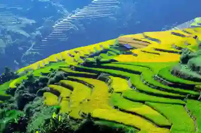 가정용 미니빔프로젝터 PJM200의 장점과 활용법 알아보자