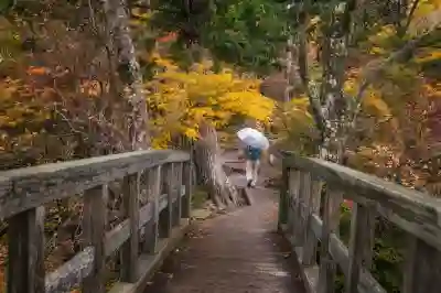 아이폰으로 티머니 모바일 충전 등록하는 꿀팁 알아보자