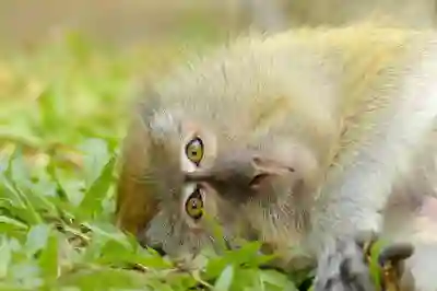 중고차 취등록세 할부 및 카드결제 방법과 다자녀 혜택 살펴보자