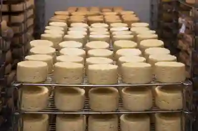 카카오톡 사다리타기 참여와 결과 확인하는 방법 알아보자