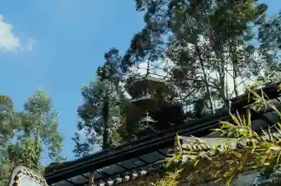 조건부자본증권과 CoCo채권의 특징을 알아보자